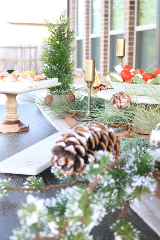 MRI, Melissa Roberts Interiors, Houston Interior Design, Houston Interiors Designer, Easy Holiday Décor, Easy Holiday Decorations, Easy Christmas Decorations, Christmas Table Décor, Christmas Table Decorations, Dining Table Décor, Easy Appetizers, Holiday Drinks, Holiday Themed Party, Christmas Party, Hosting a party, Hosting a Christmas Party, Hosting a Holiday Party, Christmas Cocktail, Signature Cocktail, Easy Holiday Party, Simple Holiday Party, Party Planning Checklist, Hostess Gifts, Unique Hostess Gift, Christmas 2019, 15 minute appetizers, how to host a stress free holiday party, outdoor party, outdoor dinner party, outdoor dinner party, outdoor entertainment, outdoor Christmas decorations, Joyful Healthy Eats,