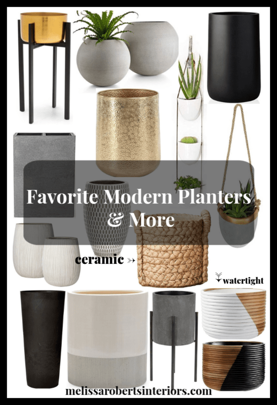 7 Low Maintenance Indoor Plants, indoor plant care, caring for indoor plants, how to care for indoor plants. low maintenance indoor plants, indoor plants, easy indoor plants, modern plants, cool planters, modern planters, unique planters, affordable planters, plants in a home, chic plants, contemporary chic plants, easy indoor plants, snake plant care, mother in laws tongue care, style snake plant, styled fiddle fig, fiddle fig tree care, fiddle fig tree styled