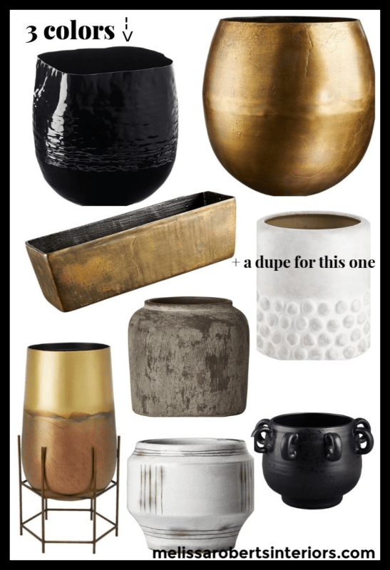 7 Low Maintenance Indoor Plants, indoor plant care, caring for indoor plants, how to care for indoor plants. low maintenance indoor plants, indoor plants, easy indoor plants, modern plants, cool planters, modern planters, unique planters, affordable planters, plants in a home, chic plants, contemporary chic plants, easy indoor plants, snake plant care, mother in laws tongue care, style snake plant, styled fiddle fig, fiddle fig tree care, fiddle fig tree styled