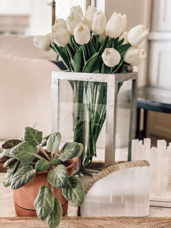 MRI, Melissa Roberts Interiors, Houston Interior Design, Houston Interior Designer, Interior Design, Interior Designer, Spring 2020, Spring, Spring Home Décor, Home Décor, Spring Home Tour, How to Style Your Home for Spring, Wood Bowls, Moss Bowls, Faux Plants, Modern Home Design, Design on a Budget, Spring 2020, Spring Pillows, Spring Throw Blankets, Spring Home Styling, Modern Spring Décor, Spring Home Décor Under $50, Amazon Spring Home Décor, Under $50, budget friendly rugs, jute rug, natural rug, 2020 home décor, Throw Pillows, Indoor Plants, Unique Planters, spring scents, spring candles, stems, greenery, tulips, faux flowers, linen pillow, bedding