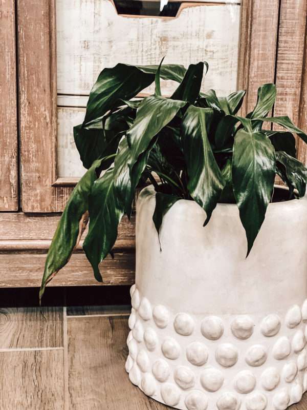 MRI, Melissa Roberts Interiors, Houston Interior Design, Houston Interior Designer, Interior Design, Interior Designer, Spring 2020, Spring, Spring Home Décor, Home Décor, Spring Home Tour, How to Style Your Home for Spring, Wood Bowls, Moss Bowls, Faux Plants, Modern Home Design, Design on a Budget, Spring 2020, Spring Pillows, Spring Throw Blankets, Spring Home Styling, Modern Spring Décor, Spring Home Décor Under $50, Amazon Spring Home Décor, Under $50, budget friendly rugs, jute rug, natural rug, 2020 home décor, Throw Pillows, Indoor Plants, Unique Planters, spring scents, spring candles, stems, greenery, tulips, faux flowers, linen pillow, bedding