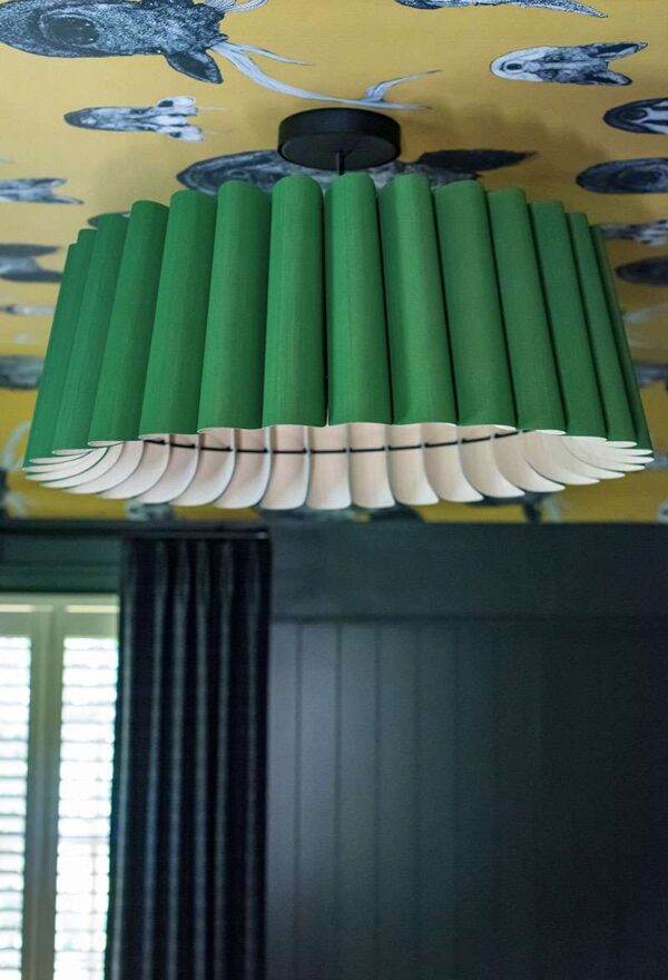 Toeppich Nursery Toeppich Nursery 9878